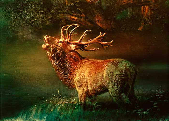 Robert Schoeller Painting: Roaring Stag Wildlife Painting TH015
