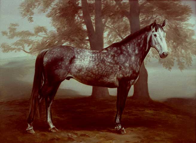 Robert Schoeller Painting: Portrait of a Horse Portrait AN000